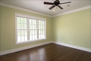 Window Contractors Brookfield WI White windows letting light into a green room with a ceiling fan